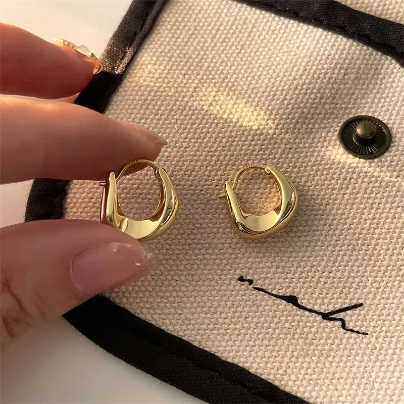 925 Sterling Silver Hoop Earrings - Versatile Fashion Jewelry for Women & Girls - Lylamor.com