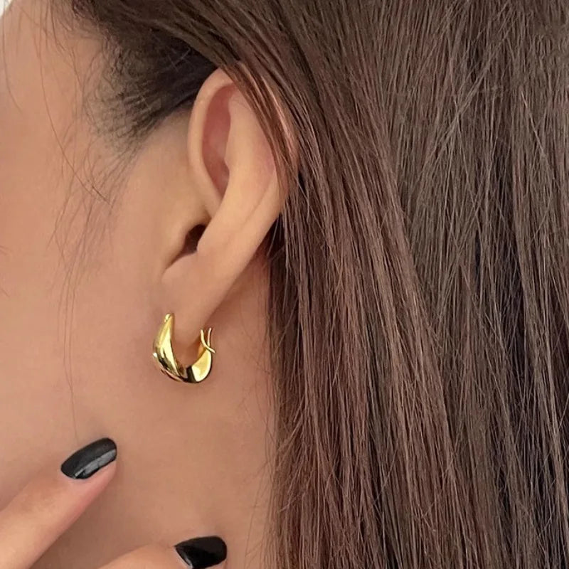 925 Sterling Silver Hoop Earrings - Versatile Fashion Jewelry for Women & Girls - Lylamor.com