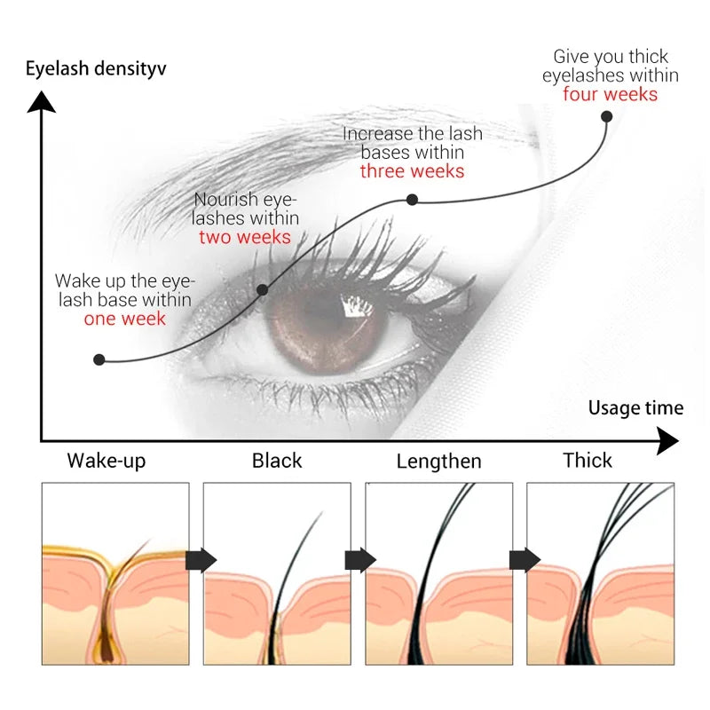 LANBENA Eyelash Growth Serum – Fast Lash & Brow Enhancer 4ml - Lylamor.com