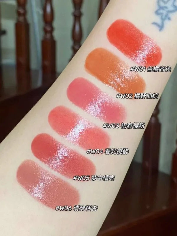 CARSLAN Moisturizing Lipsticks Water Light Fade Lip Lines Lip Gloss Orange Red Tint Lasting Watery Lightness Lip Stick Makeup - Lylamor.com